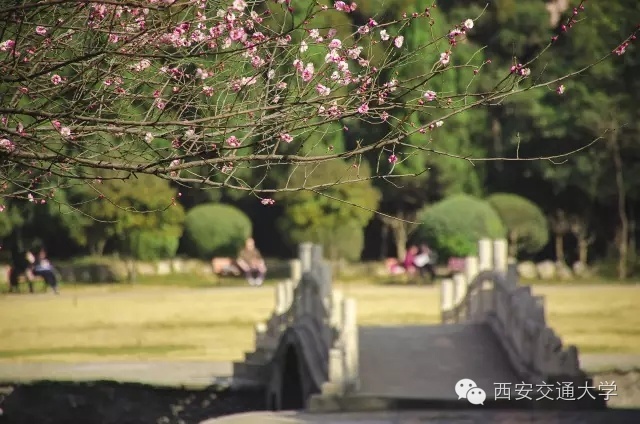 猴年马月最后一天视频,猴年马月有没有重逢的一天