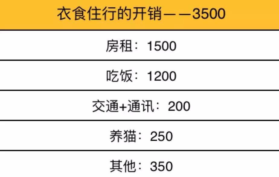家有吉祥招财猫,家有招财猫还有聚宝盆