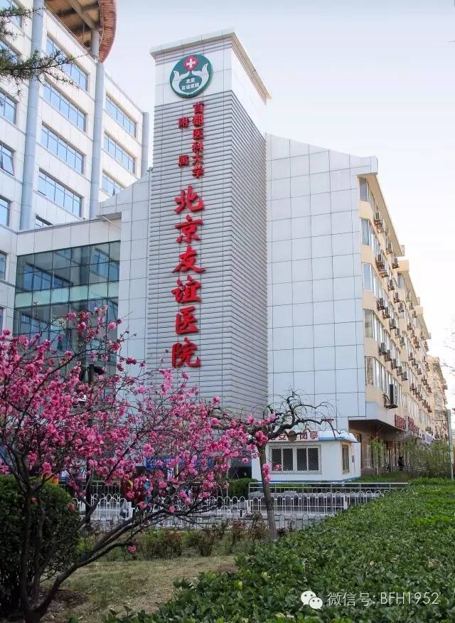 免费自助挂号方法,不会挂号9图帮你搞定