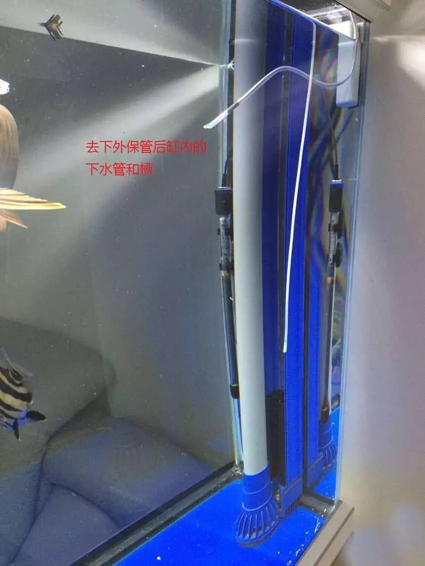 森森底滤鱼缸溢流区怎样清理,森森鱼缸出水口最佳位置与角度