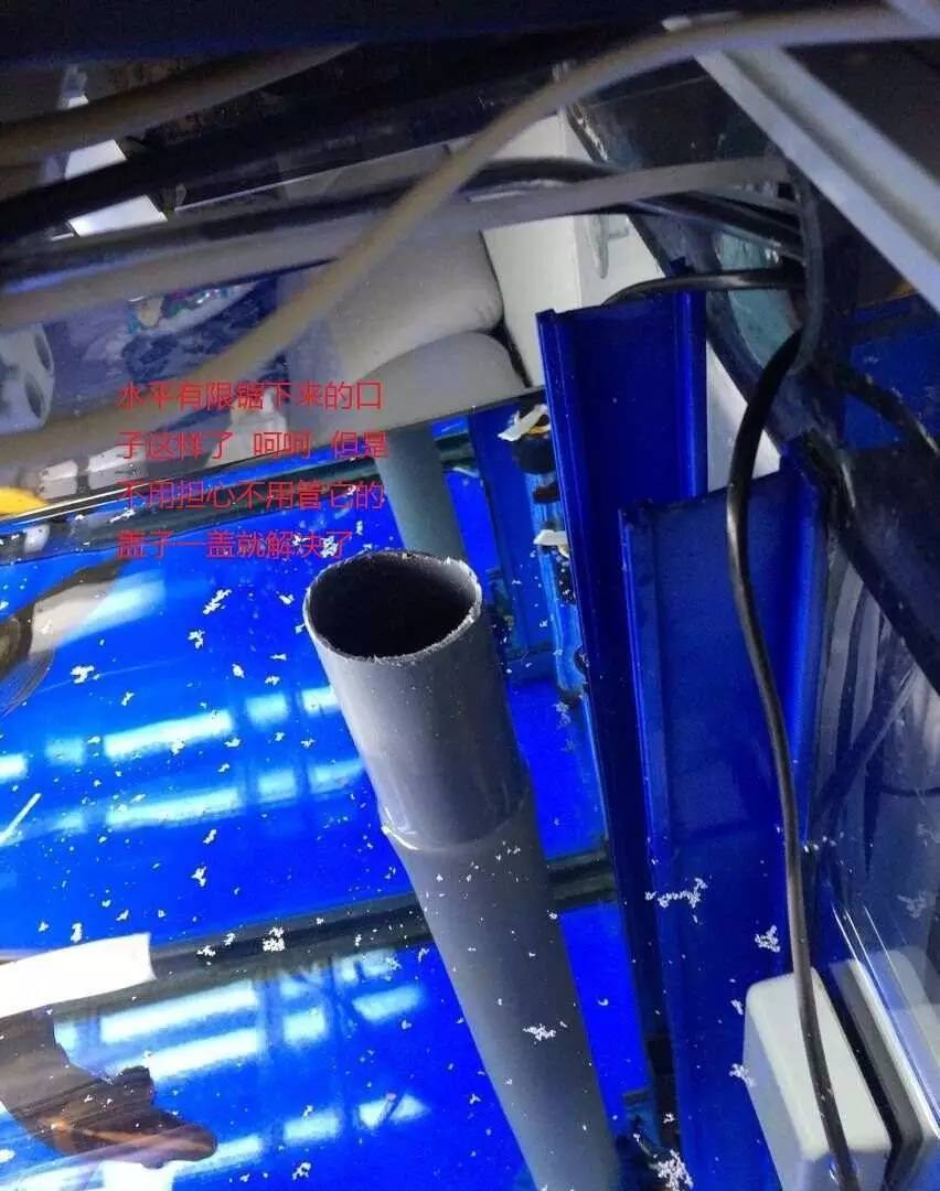 森森底滤鱼缸溢流区怎样清理,森森鱼缸出水口最佳位置与角度