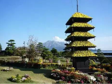 日本走马观花一日游,走马观花日本旅游