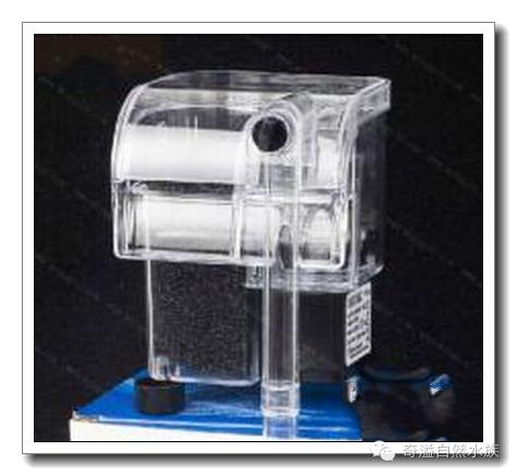 水族新手养鱼攻略,鱼缸养鱼攻略新手必备