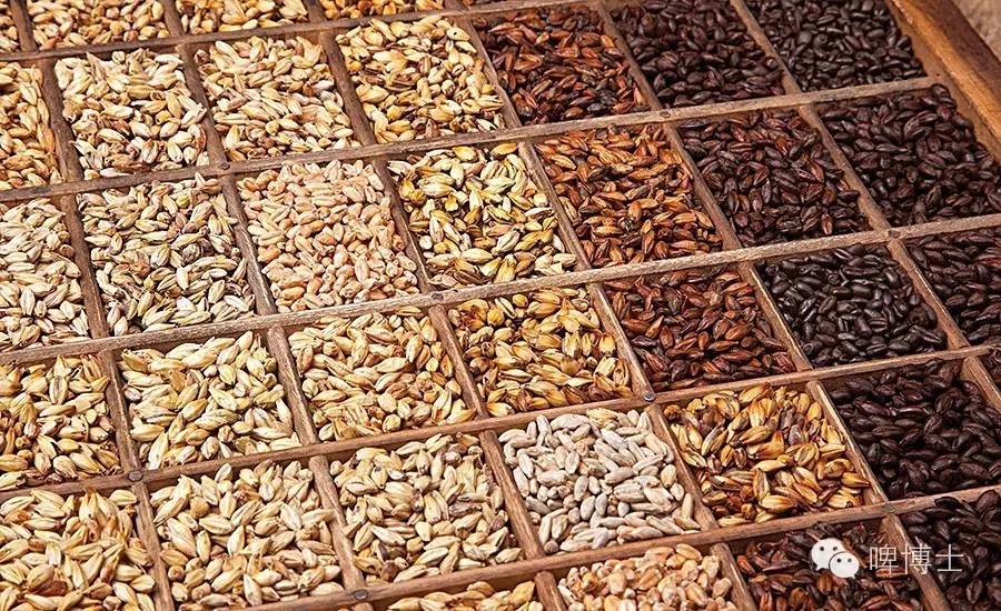 代尔夫特:高逼格过桶啤酒喝起来!啤博士第十六期品酒会