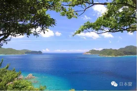 日本走马观花一日游,走马观花日本旅游