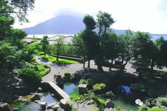 日本走马观花一日游,走马观花日本旅游