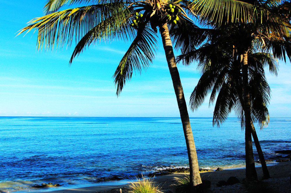 毛里求斯旅游度假区,毛里求斯旅行感觉