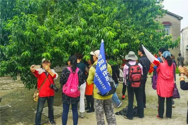 横溪西祠村宴，吃出最地道的横溪味，什么是横溪味？点开就知道了！