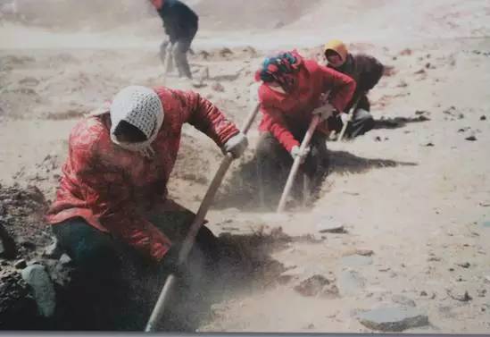 丰宁坝上植树,我去植树