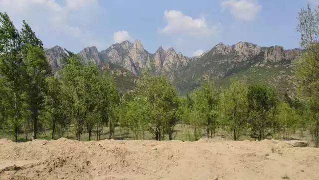 丰宁坝上植树,我去植树