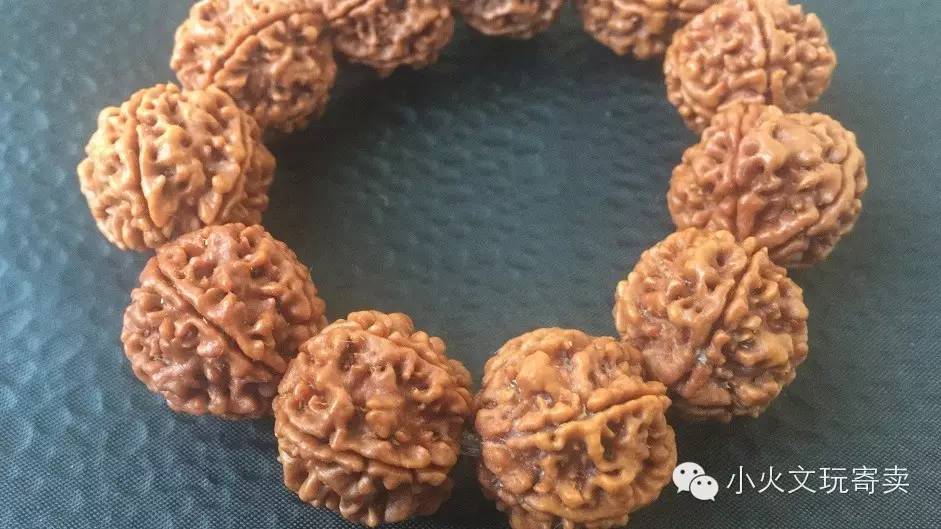 逗逼|大宝和金刚不能说的秘密!