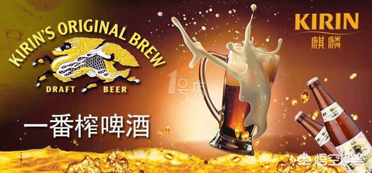 盘点不同牌子的啤酒,各大品牌啤酒口感