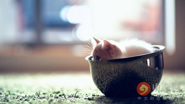 隐藏逾期项目农金宝选择了*猫猫躲**