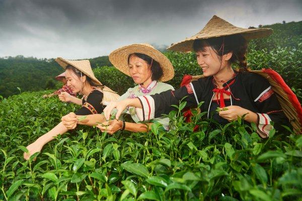 海南全面深化改革开放的四梁八柱,春潮涌动改革开放