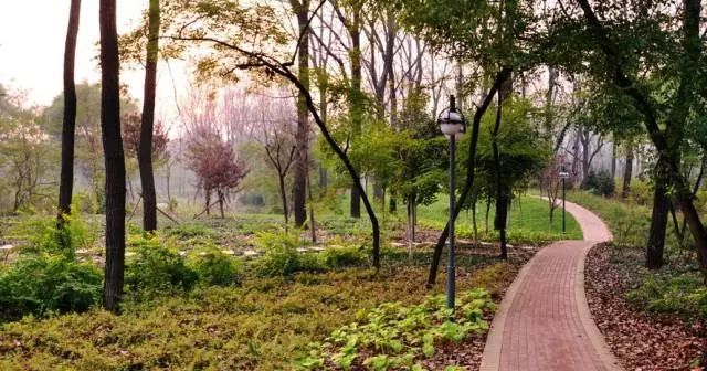 秦皇岛黄金海岸骑行,河北秦皇岛清明假期周边骑行