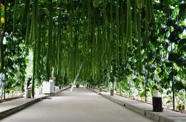 秦皇岛黄金海岸骑行,河北秦皇岛清明假期周边骑行