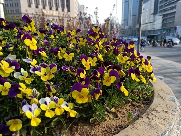 最超值的异形全面屏！OPPOR15评测：全系6+128