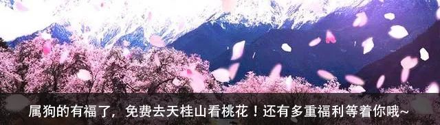 秦皇岛黄金海岸骑行,河北秦皇岛清明假期周边骑行