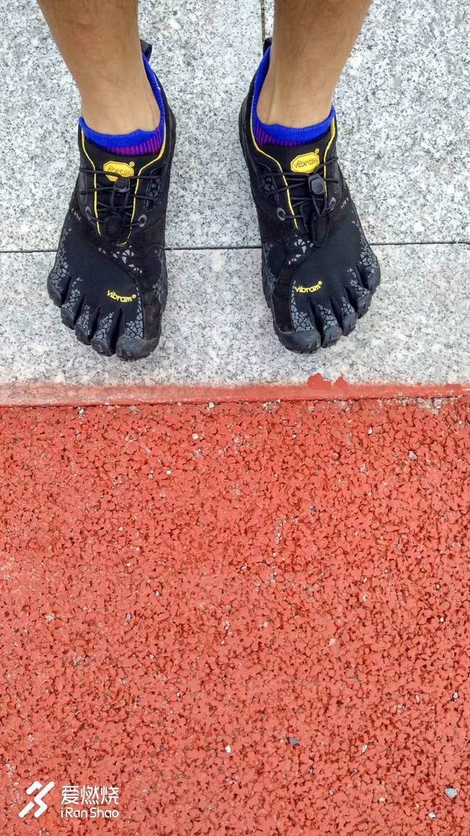 蓝小五（爱燃烧五指袜）小测