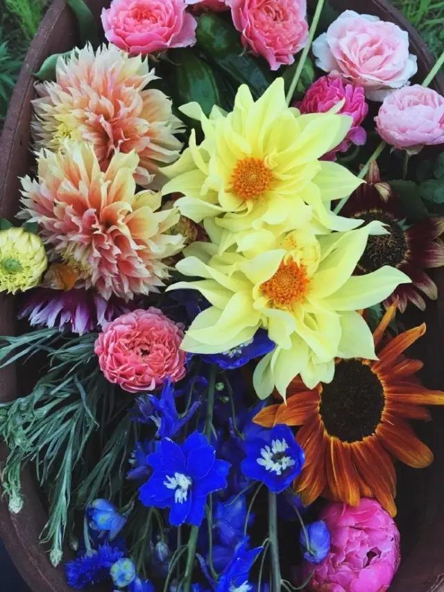 这个男孩子回家租了快地，过起了归园田居的日子