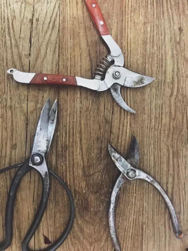 这个男孩子回家租了快地，过起了归园田居的日子