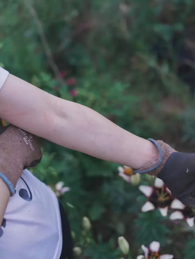 这个男孩子回家租了快地，过起了归园田居的日子