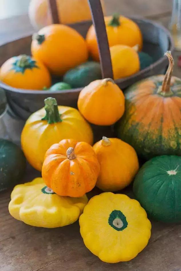 这个男孩子回家租了快地，过起了归园田居的日子