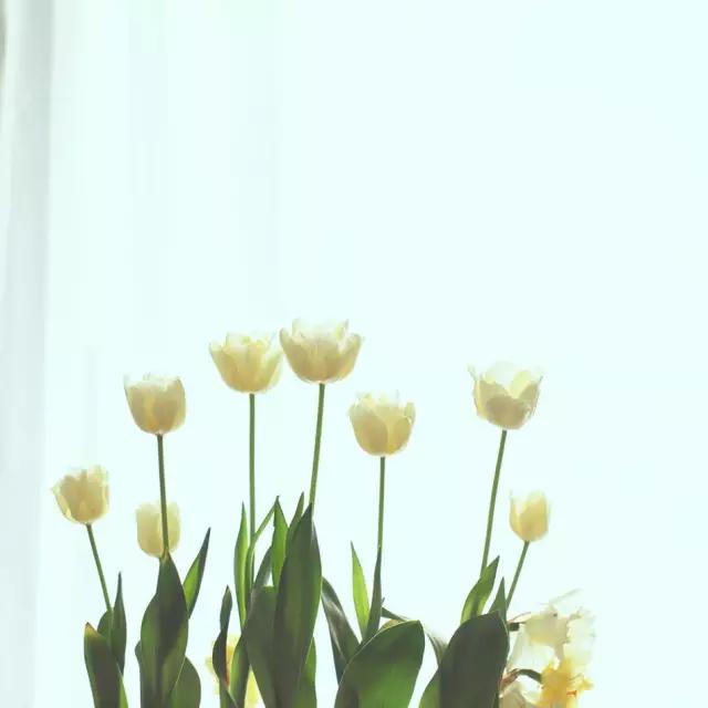 这个男孩子回家租了快地，过起了归园田居的日子