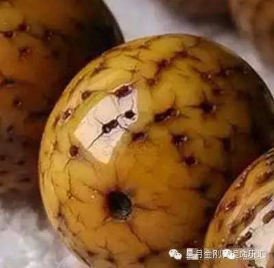 盘点星月菩提的十大问题建议收藏,星月菩提哪种可以玩得最长久