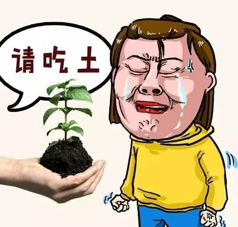 吃土少女最爱的显白口红,复古吃土色口红的图片