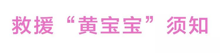 十天宝宝自己怎么判断黄疸,宝宝黄疸护理方法