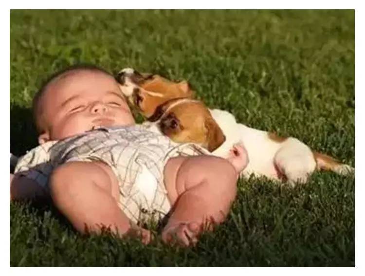 十天宝宝自己怎么判断黄疸,宝宝黄疸护理方法