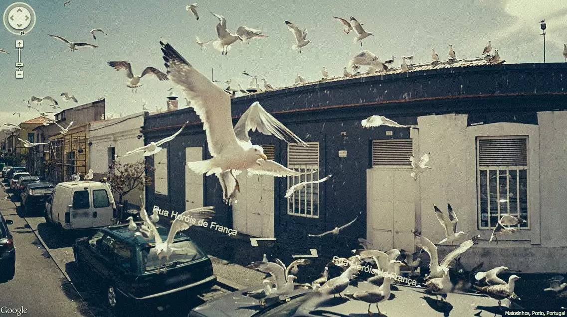 google街景怎么弄,google街景怎么看