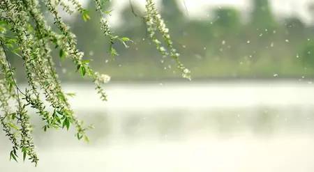 陈允斌讲婴儿湿疹止痒小妙方,陈允斌讲治疗婴儿湿疹的方法