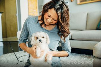 泰迪很可爱但很凶,泰迪晚上一动就凶