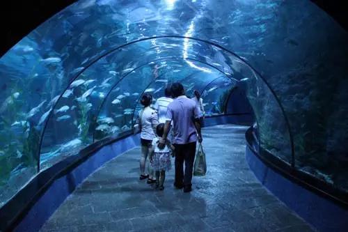 重庆最让人失望的核心区,重庆最尴尬的五个区