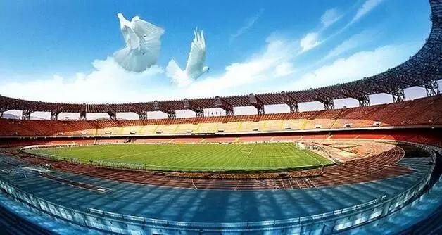 欧洲杯黑科技,欧洲杯瑞士的黑科技