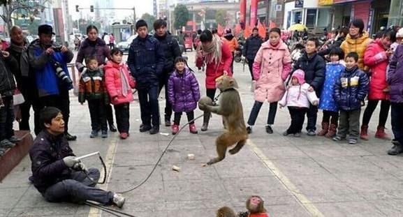 小米5还值得购买,小米5先别急着买