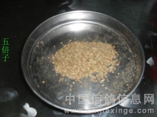 治毛滴虫粉剂,什么中草药可以治毛滴虫