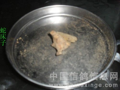 治毛滴虫粉剂,什么中草药可以治毛滴虫