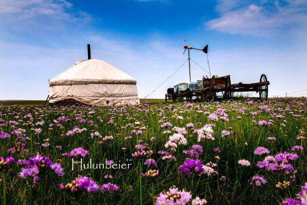 呼伦贝尔拍照攻略,呼伦贝尔美景拍照