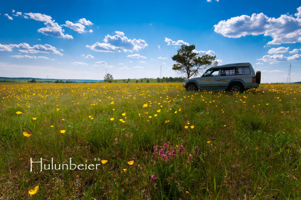 呼伦贝尔拍照攻略,呼伦贝尔美景拍照