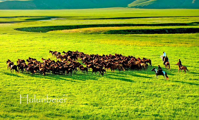 呼伦贝尔拍照攻略,呼伦贝尔美景拍照