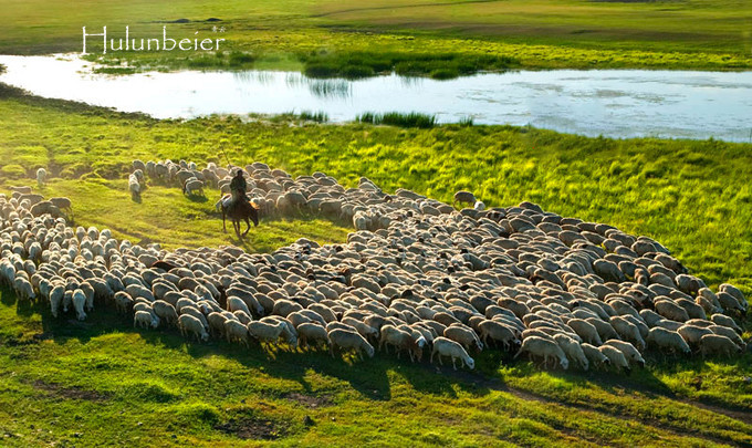 呼伦贝尔拍照攻略,呼伦贝尔美景拍照