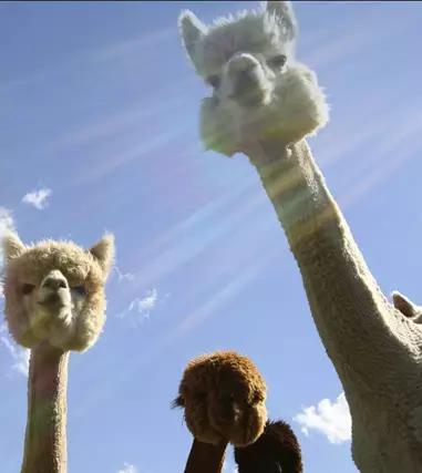 燕子沟有哪些好玩的地方,燕子沟云海风景