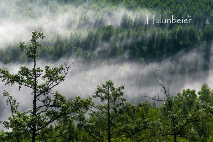 呼伦贝尔拍照攻略,呼伦贝尔美景拍照