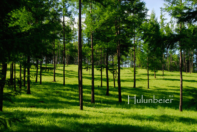 呼伦贝尔拍照攻略,呼伦贝尔美景拍照