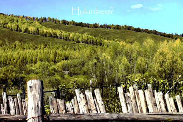 呼伦贝尔拍照攻略,呼伦贝尔美景拍照