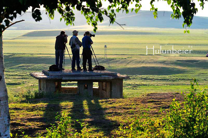 呼伦贝尔拍照攻略,呼伦贝尔美景拍照