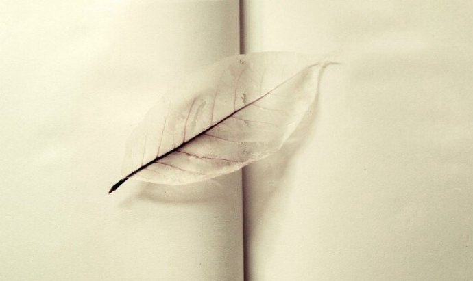 北京高考卷微作文范文,北京卷高考作文微作文